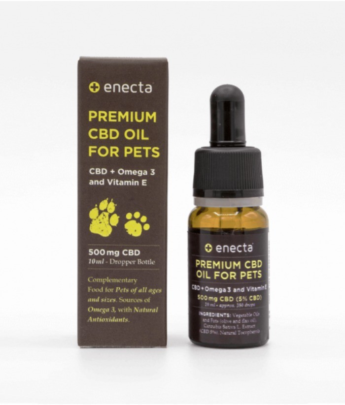 CBD oil for cats and dogs