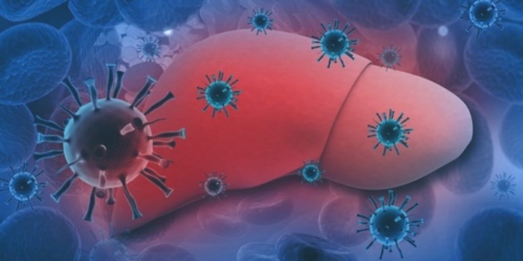 CBD: ¿Puede ayudar en el tratamiento de la Hepatitis?