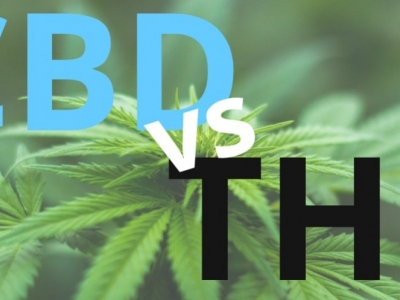 Diferencias entre el THC y el CBD